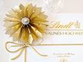 Sternenrosette Lindt