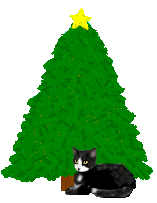 Weihnachtsbaum mit Katze